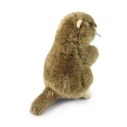 Rappa Plyšový svišť 23 cm ECO-FRIENDLY