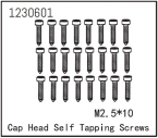 Self-tapping Cap Screw M2.5*12 (24)
