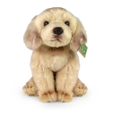 Rappa Plyšový pes zlatý retriever 27 cm ECO-FRIENDLY