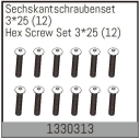 Hex Screw Set 3*25 (12)