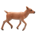 Mojo Sob mládě
