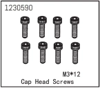 Cap Head Screw M3*12 (8)
