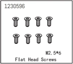 Flat Head Screw M2.5*6 (8)