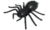 RC pavouk