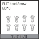 1231020 - Flat Head Screws M3*6 (8)