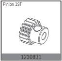 1230831 – Pastorok motora 19T